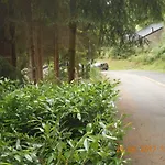 Le Vieux Sart 3 *