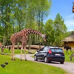 Le Vieux Sart 3 *