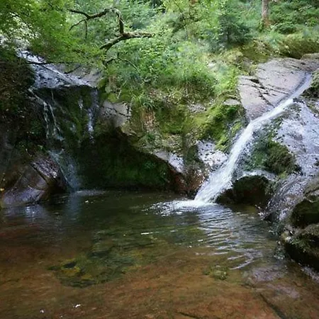 Le Vieux Sart 3 *